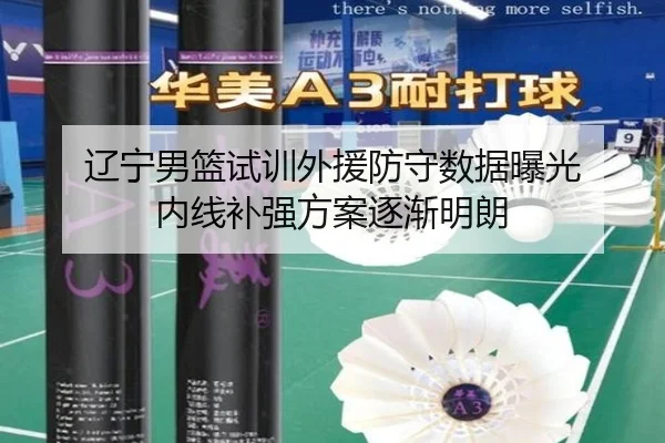 辽宁男篮试训外援防守数据曝光 内线补强方案逐渐明朗